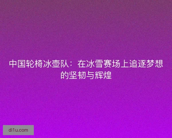 中国轮椅冰壶队：在冰雪赛场上追逐梦想的坚韧与辉煌