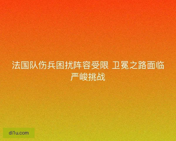 法国队伤兵困扰阵容受限 卫冕之路面临严峻挑战